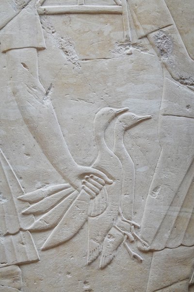  av Egyptian Egyptian
