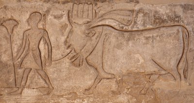  av Egyptian Egyptian