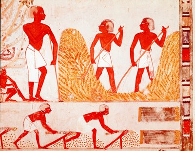 Innhøstingsscene i det gamle Egypt (fresco av Egyptian Egyptian
