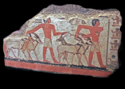  av Egyptian Egyptian