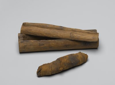 Liten kiste av slange, med mumie, 664 f.Kr.-322 f.Kr. (tre, dyrerester og lin) av Egyptian School
