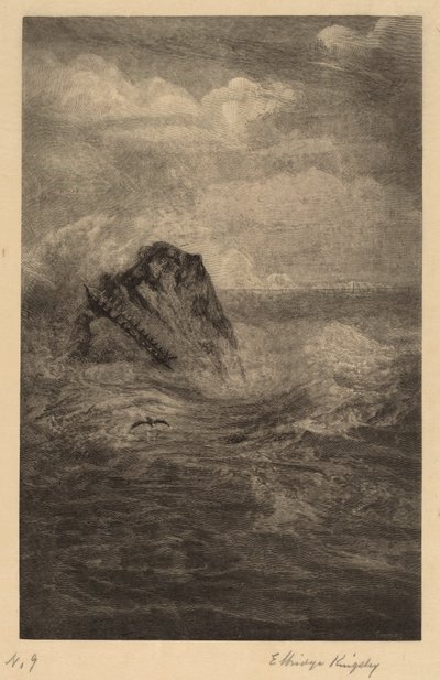 En stein i havet av Elbridge Kingsley