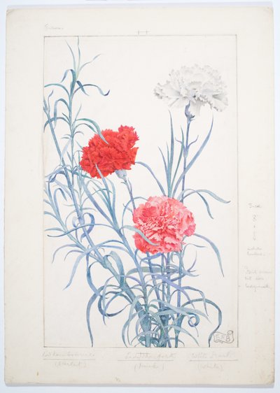 Nelliker, ca. 1909 (akvarell og grafitt på plate) av Eleanor Fortescue-Brickdale