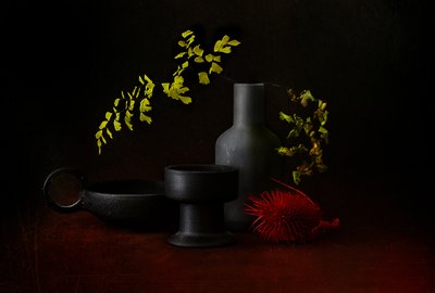Mørkt botanisk stilleben av Elena Arjona