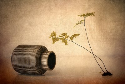 Jordfarget vase og bregne av Elena Arjona