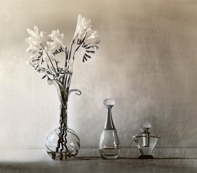 Elegante blomster og parfyme av Elena Arjona