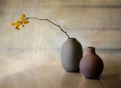 Minimalistiske blomstervaser av Elena Arjona