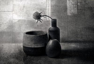 Moody Thistle-fartøyene av Elena Arjona