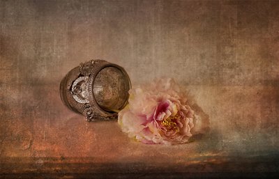 Rosa pion og minnesak av Elena Arjona