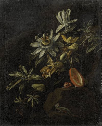 Stilleben med pasjonsblomster av Elias van den Broeck