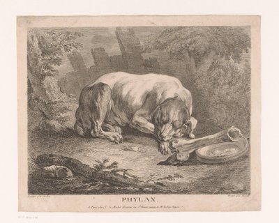 sovende hund Phylax (tittel på objekt) av Élie du Mesnil