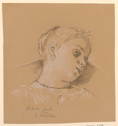  av Elihu Vedder