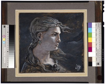 Leder av Medusa, 1878 av Elihu Vedder