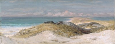  av Elihu Vedder