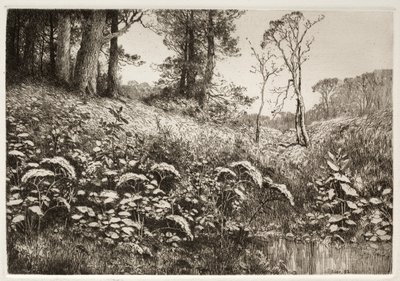 En sommerettermiddag av Elis F. Miller
