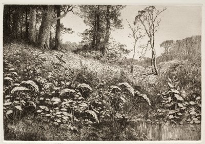 En sommerettermiddag, 1882. av Elis F. Miller