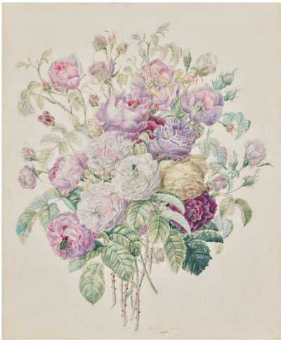  av Elisa Emilie Lemire