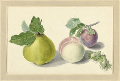 En pære, fersken, plomme og nøtter av Elisabeth Geertruida van de Kasteele