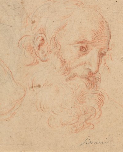  av Elisabetta Sirani
