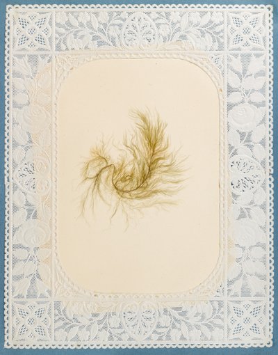 Tang av Eliza A. Jordson