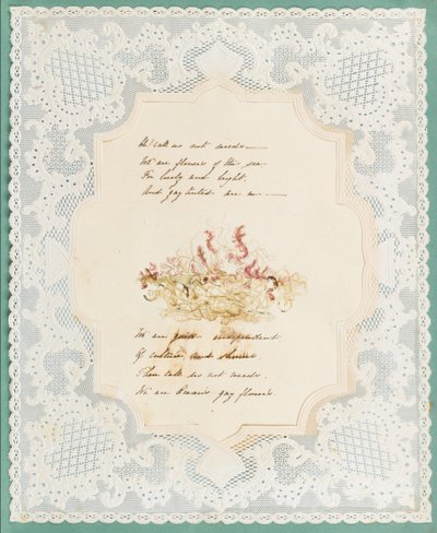 Tang av Eliza A. Jordson