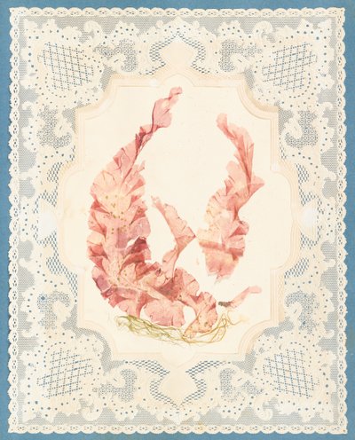 Tang av Eliza A. Jordson