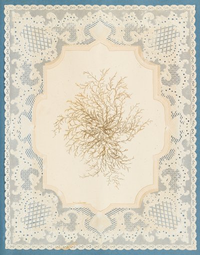 Tang av Eliza A. Jordson