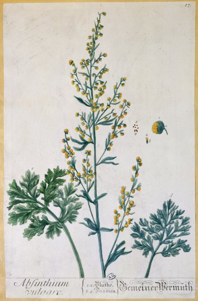 Absint, plate fra 