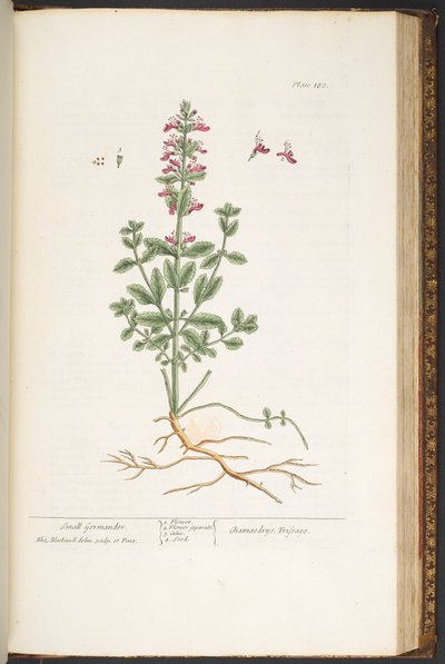Tallerken 180, fra 
