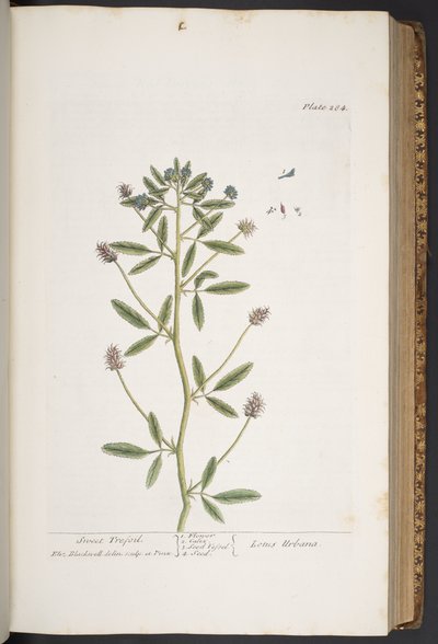 Tallerken 284, fra 