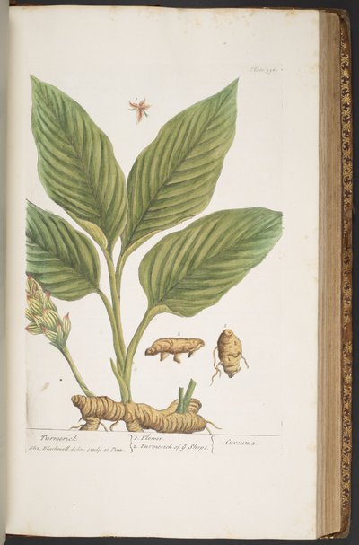 Tallerken 396, fra 