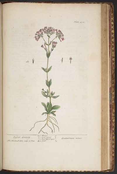 Tallerken 452, fra 