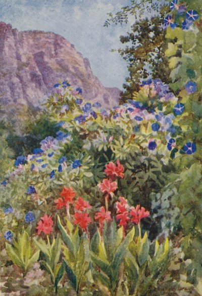  av Elizabeth Drake
