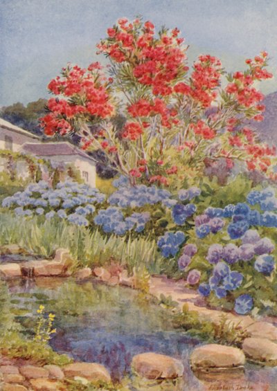  av Elizabeth Drake