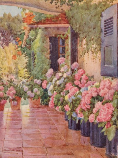  av Elizabeth Drake