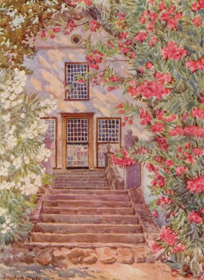  av Elizabeth Drake