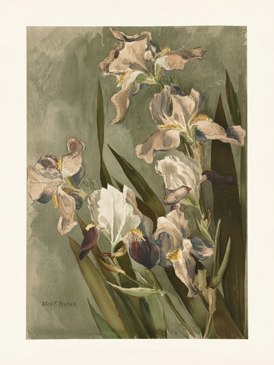  av Elizabeth F. Parker