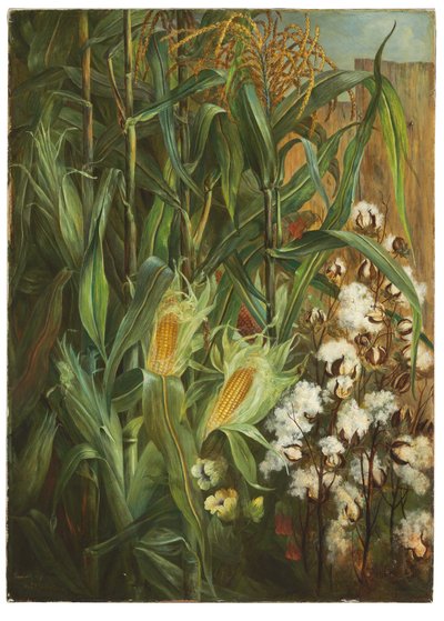 De to kongene: mais og bomull av Elizabeth H. Remington
