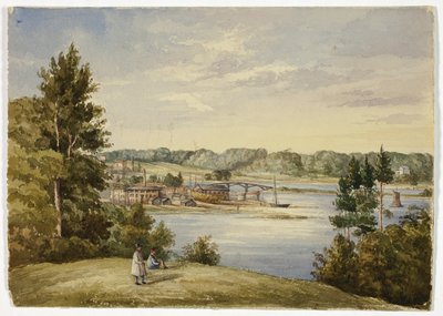Utsikt fra Sydney av Elizabeth Murray