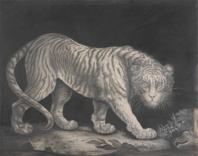 En snikende tiger av Elizabeth Pringle