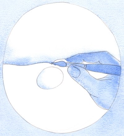 Ved å trykke på en kunstners pensel fyller pigment en vannpøl. Ved vår "berøring" av angrende bønn, "tegner" vi Guds nåde i oss, 2002 (w/c på papir) av Elizabeth Wang