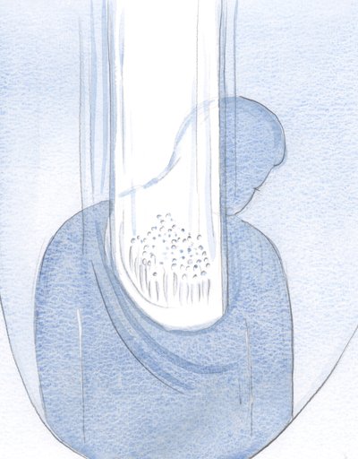 Jeg så at alle som er skjermet i mitt hjerte er gjennomvåt av Kristi kjærlighet og nåde, gjennom sjelens forening med ham., 2000 (w/c på papir) av Elizabeth Wang