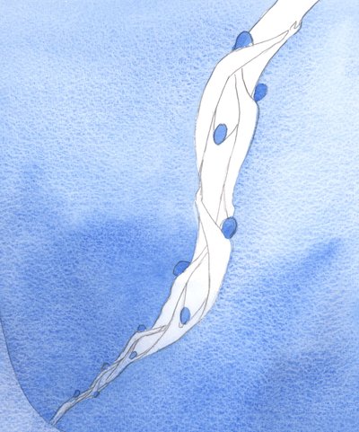 Våre forbønn for de hellige sjeler i skjærsilden, i Jesu navn, er som et tau som trekker dem mot himmelen, 2002 (w/c på papir) av Elizabeth Wang
