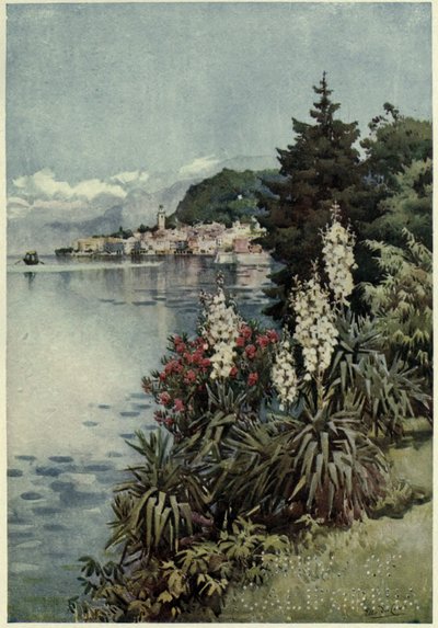 A Group of Yuccas, Villa Melzi, Lago di Como, illustrasjon fra 'The Italian lakes' av Richard Bagot av Ella Du Cane