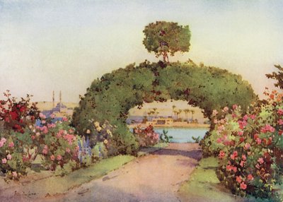 En rosehage ved Giza, og utsikt over Kairo (farge litho) av Ella Du Cane