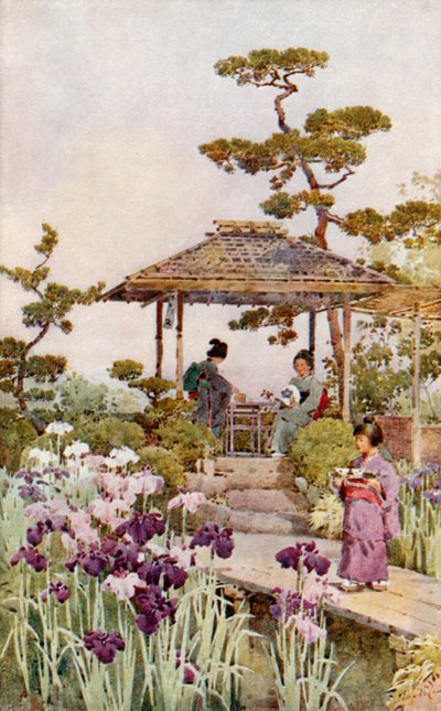 An Iris Garden (farge litho) av Ella Du Cane
