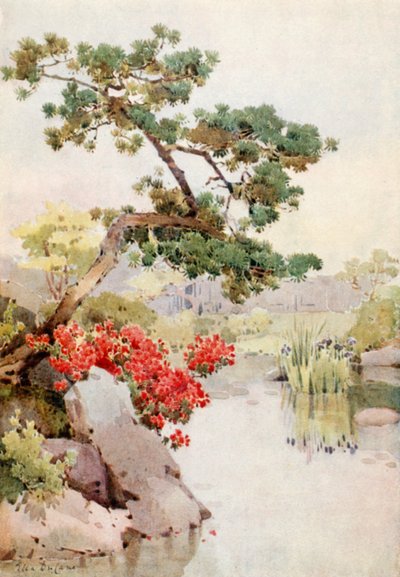 Azalea og furutre (farge litho) av Ella Du Cane