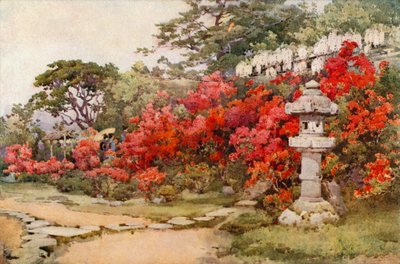 Azalea, Awata (farge litho) av Ella Du Cane