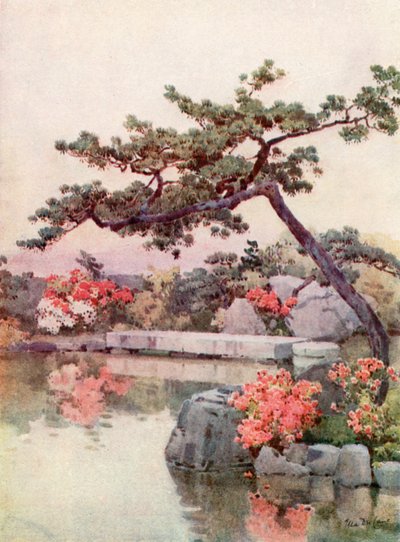 Asalea i en Kyoto-hage (farge litho) av Ella Du Cane