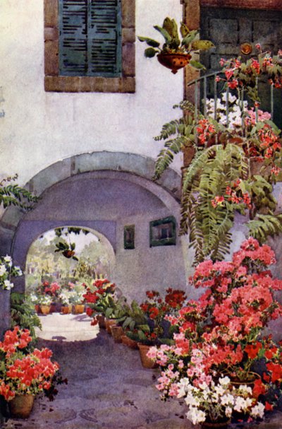 Asalea i en portugisisk hage (farge litho) av Ella Du Cane